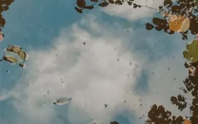 La solitude selon Lydia Erneman